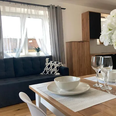Nowy Apartament Willa Sowia Z Widokiem Na Snieznik Stronie Slaskie Exterior photo