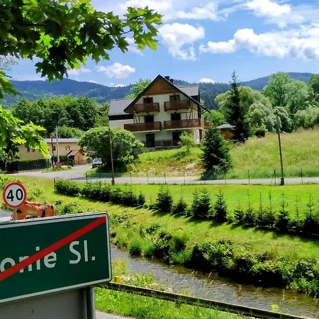 Nowy Apartament Willa Sowia Z Widokiem Na Snieznik Stronie Slaskie Exterior photo