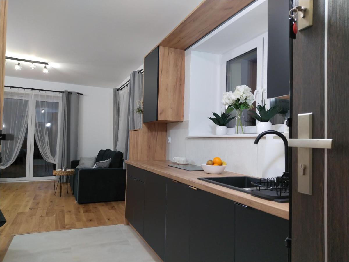 Apartment Nowy Sowia Z Widokiem Na Snieznik *