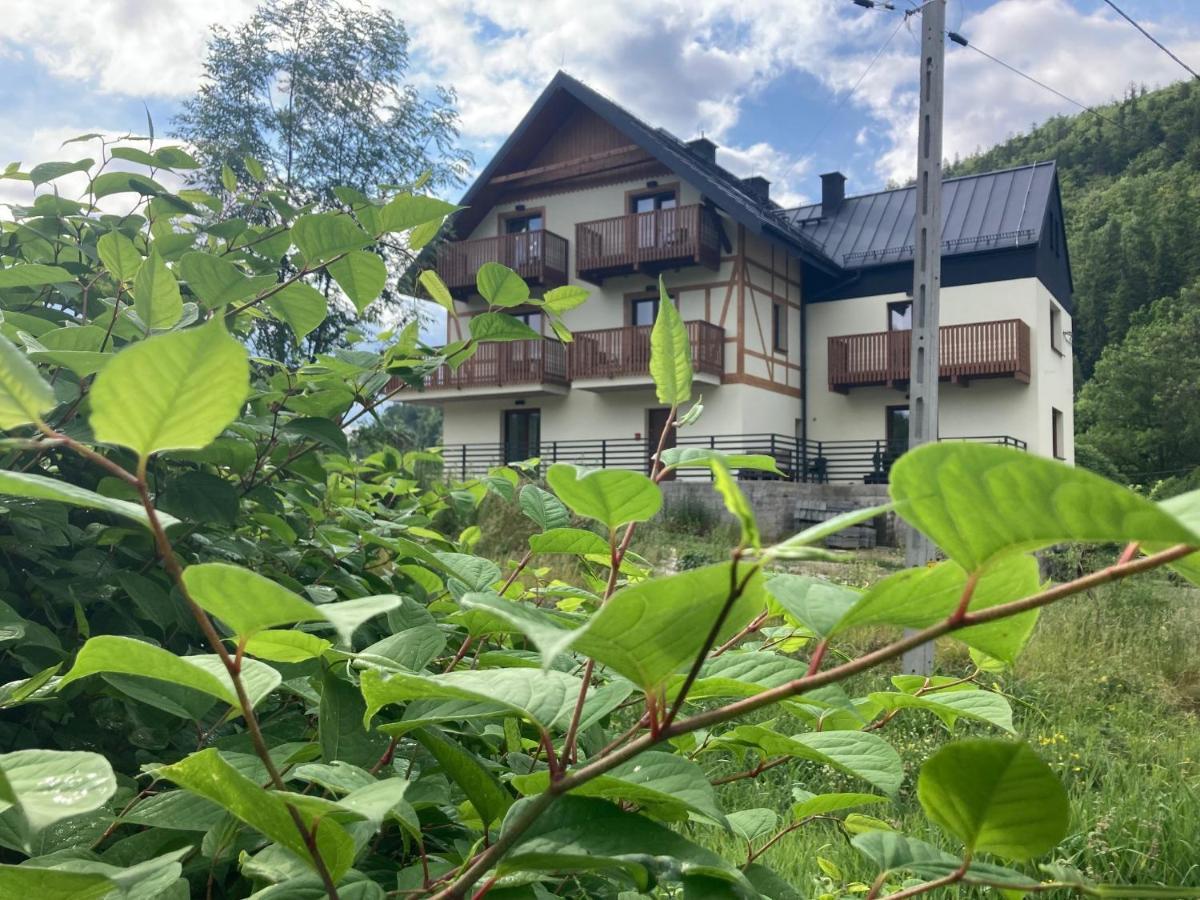 Apartment Nowy Sowia Z Widokiem Na Snieznik *